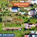 Teren intravilan | 3573mp | Toate utilitatile! | Buftea IF
